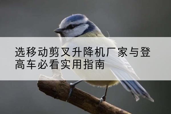 白玉电动升降机厂家-选移动剪叉升降机厂家与登高车必看实用指南