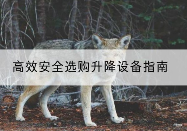 白玉升降货梯厂家推荐-*安全选购升降设备指南