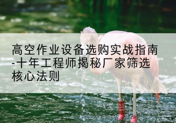 白玉剪叉式升降机厂家-高空作业设备选购实战指南-十年工程师揭秘厂家筛选核心法则